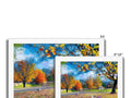 A greeting card with two pictures of Autumn trees, a bird, a car, and