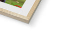 A book inside of a frame on a picture frame of a baseball player sitting on a