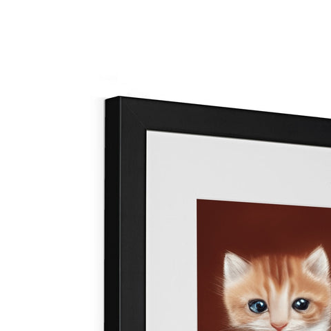 A photo of a cat on a white background frame with the cat in center.