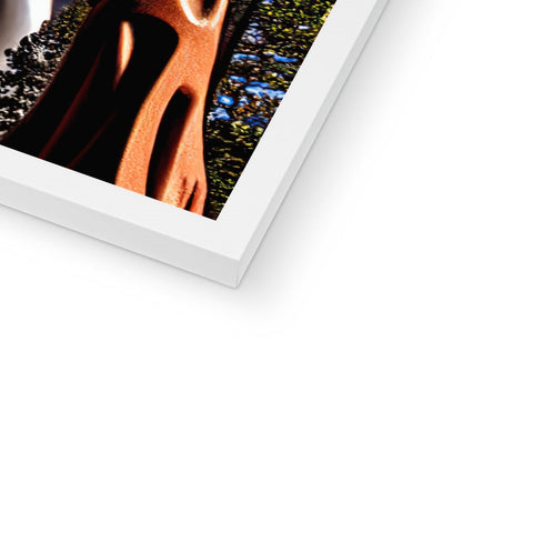 a picture of the front end of a softcover book with a photo and a background
