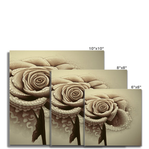 A ceramic tile with a rose border that is stained white.