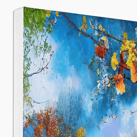 A softcover with a colorful picture of fall trees on it.