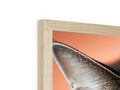 A picture frame with a photo in the middle with a bird sitting on top of it