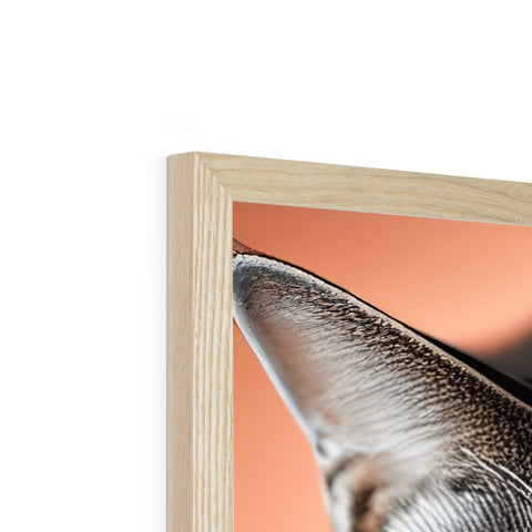 A picture frame with a photo in the middle with a bird sitting on top of it