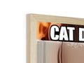 People standing on a red wooden table next to some cardboard on which cats are curled up