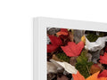 A white picture frame containing a photo of autumn leaves on top of a flat panel display