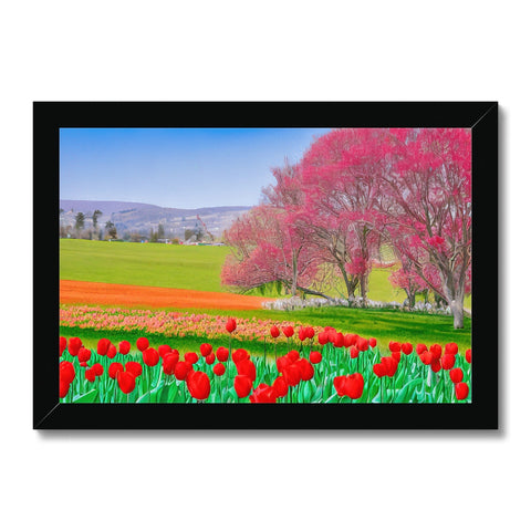 A picture of an art print with two white flowers with a pink flower and tulips