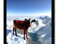 A cow is looking at the sky from a small mountain top looking down on