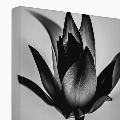 A vase full of flowers in a black and white photo frame with a vase
