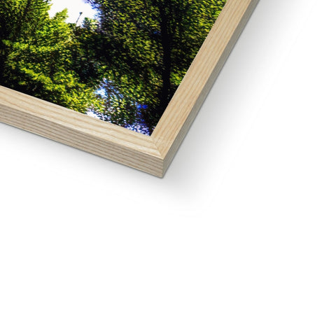 An image on a small wooden frame with a view of a tree.