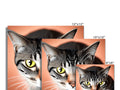 Three different images of a cat are on different textures on a board.
