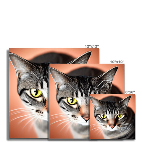Three different images of a cat are on different textures on a board.
