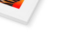 A tiger striped picture frame with a tiger stripes book, a close up of a tiger