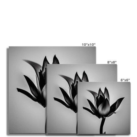 Many floral designs on wall tile that are displayed with black and white photo frames.