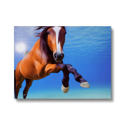 A horse on a white background at water in the background.
