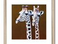 A pair of giraffes standing side by side kissing sitting under tree, tree,
