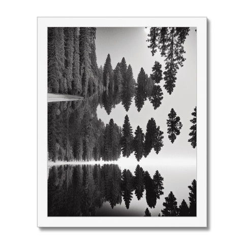 Art print on wooden frame of a forest covered in trees.