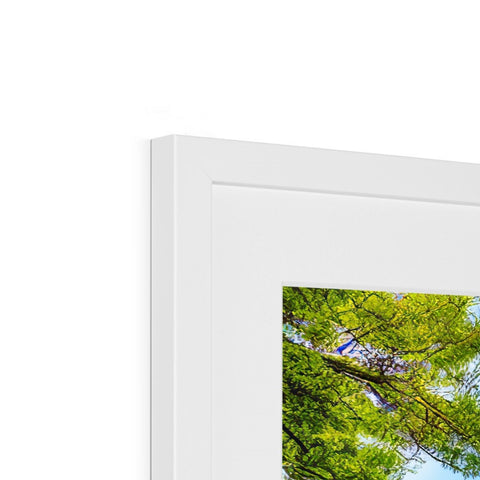 A photo picture on a wood frame on the wall frame with a tree and a tree