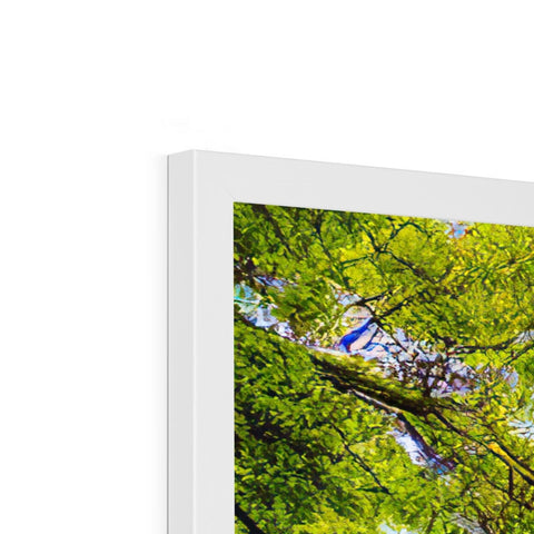 A view of some trees in a forest in the background of a picture frame.