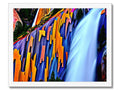 An art print hanging over a waterfall with some colorful water flowing into it.