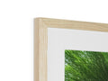 A photo of a large white picture in an  oak frame.
