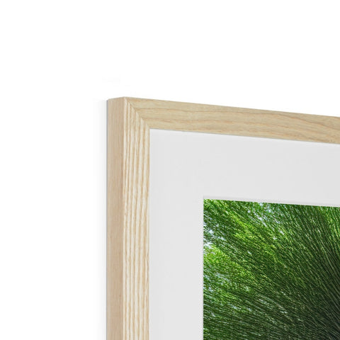 A photo of a large white picture in an  oak frame.