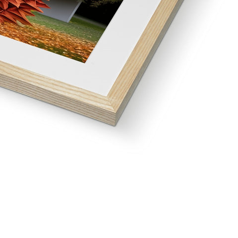A white photograph of a picture frame with books in it.