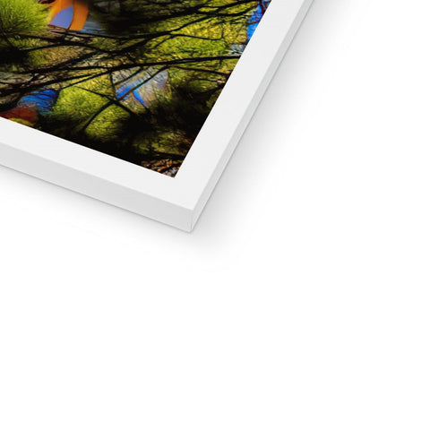 A colorful print on a white background of photographs and a book.