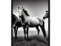 two horses sitting in the field on black and white grass