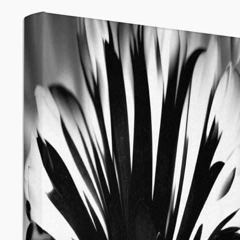 A black and white art book sitting on a black vase in the white background of