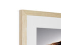 Wood picture framed in a white frame with a photo of a woman.