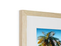 A picture of a tree has wood framed next to a white background.