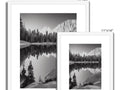 Four pictures on a black and white picture frame of a tree and pine trees.