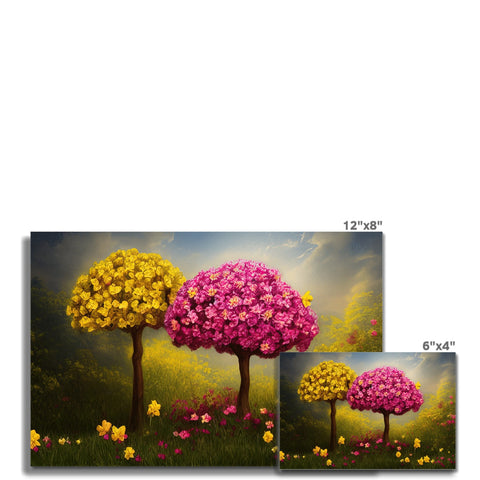 A floral photo of three different flowers on a card with an image of different colors.