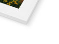 A small picture of a green daffodils on a white frame.