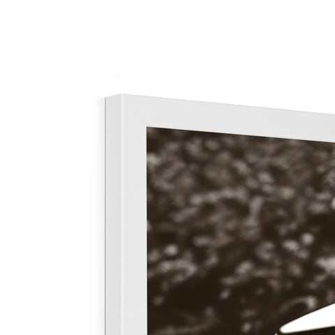 A background image of black and white wall that has an  imac.