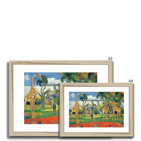 Four giraffes standing around an open field looking at the green grass with tall trees
