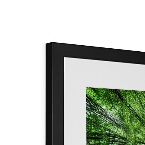 A picture frame with digital photo frames on the white background and green background.