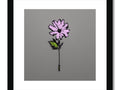 A pink and purple flower in a glass  panoramic scene framed in white wood