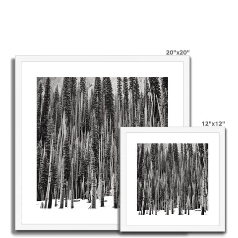 A wood framed image of pine trees on black and white wallpaper.