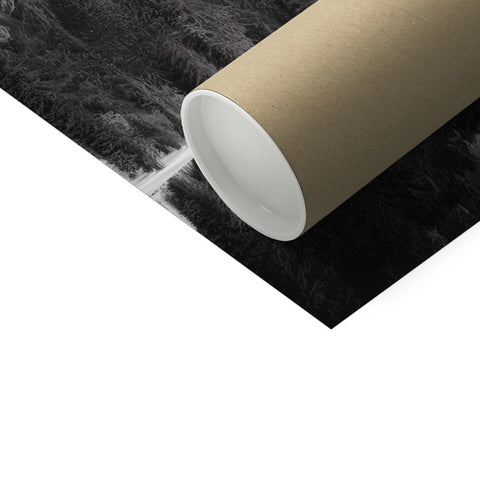 Paper roll for the table with a toilet roll that matches a pile of toilet tissue