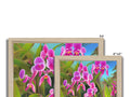 A picture frame with three pictures with orchids on it in a wooden frame.
