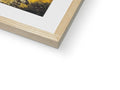 A picture picture is in a wooden frame on a book cover that is in white.