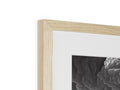 A photo inside of a white picture frame framed in wood.