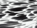 A black and white photo of fabric on top of a wet surface with water.
