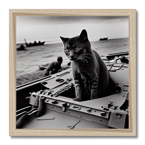 a little kitten under a black and white photo of an aircraft carrier