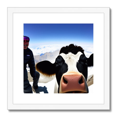 A cow looks up at the camera while standing on a hilltop