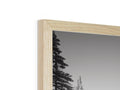 A picture frame with a mirror above a picture of a tree.