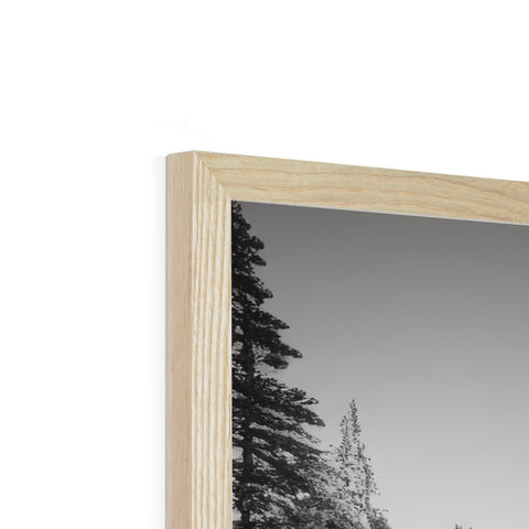 A picture frame with a mirror above a picture of a tree.