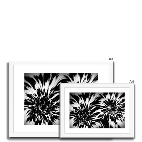 Four images with one white frame, one silver frame and one black frame.